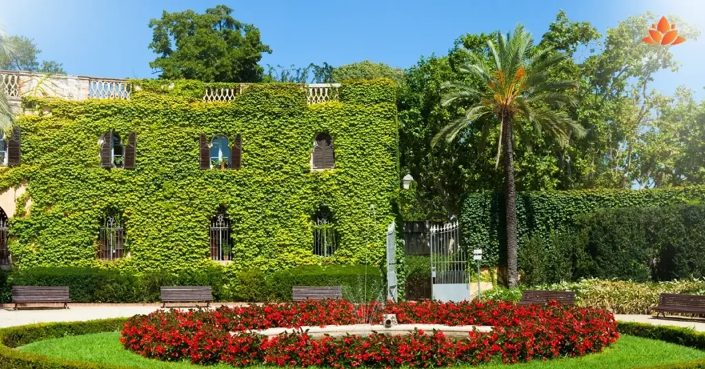 Landscape Management Service Business | Dubai Mainland